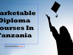 Marketable Diploma Courses In Tanzania