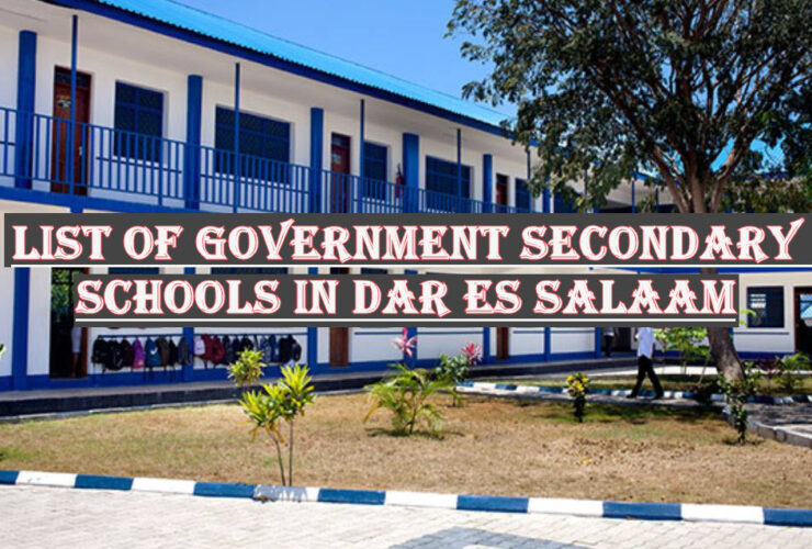 List Of Government Secondary Schools In Dar es salaam