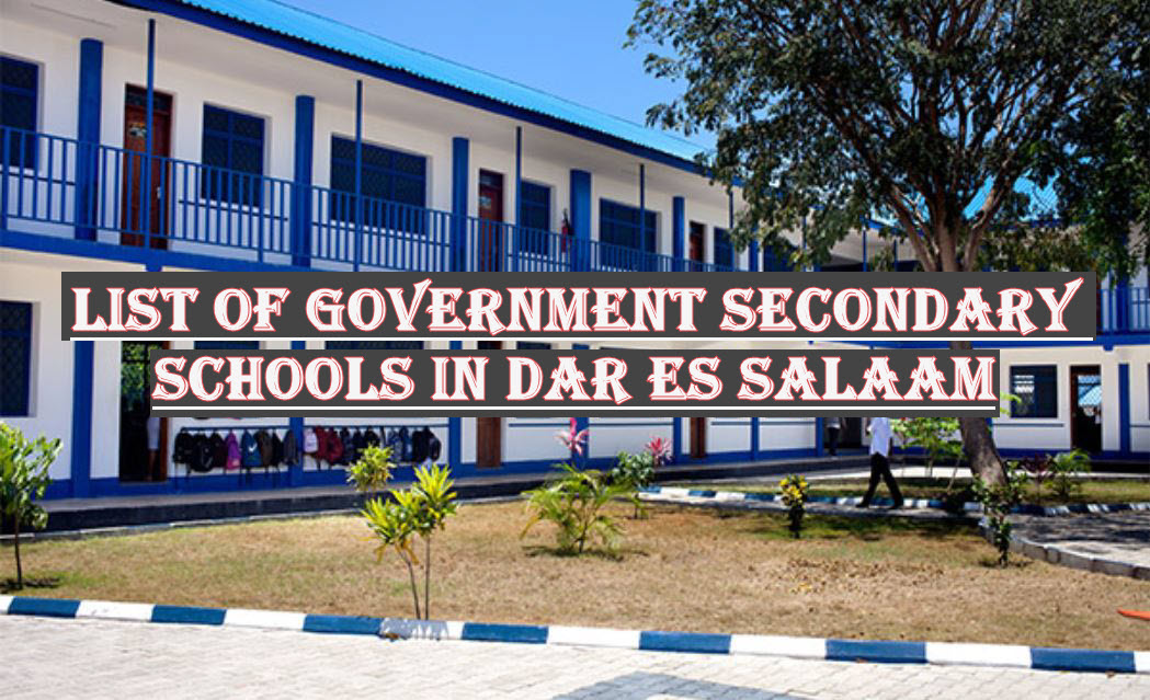 List Of Government Secondary Schools In Dar es salaam