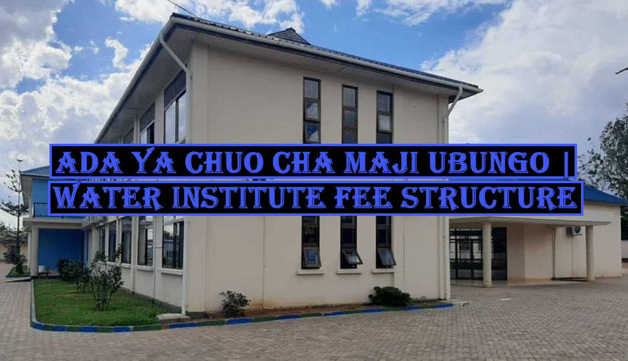 Ada ya Chuo cha maji Ubungo | Water Institute Fee Structure 2023/2024