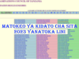 Matokeo ya kidato cha sita 2023 Yanatoka Lini
