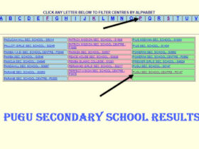 Pugu Secondary School Results