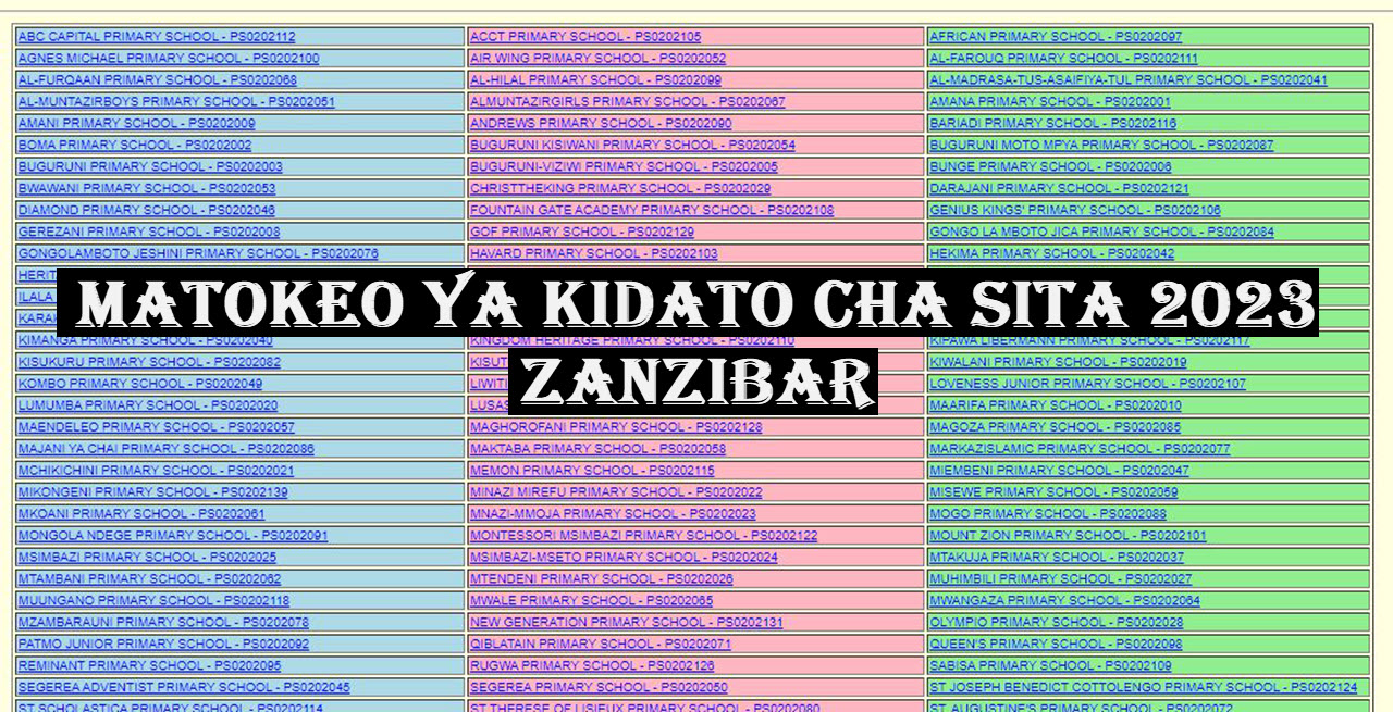 Matokeo Ya Kidato Cha Sita 2023 Zanzibar