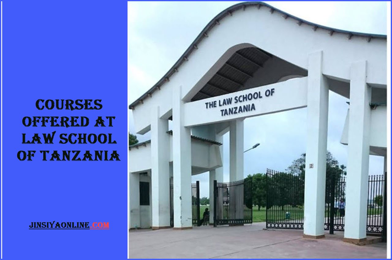 Courses Offered At Law School Of Tanzania 2023/2024