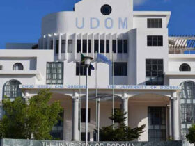 UDOM Bachelor of Arts in Economics